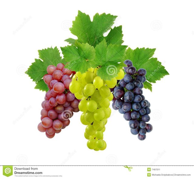 three-grapes-leaves-7467011.jpg