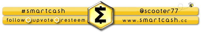 scooter77 SMARTCASH footer.png