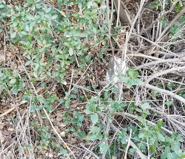 20180127_121347.jpg
