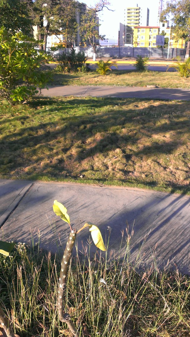 IMAG0292.jpg