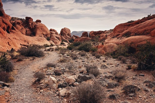 red-rock-canyon-3066430_960_720.jpg