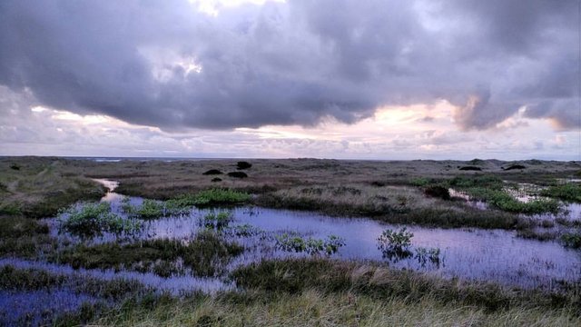 ocean shores 1.jpg