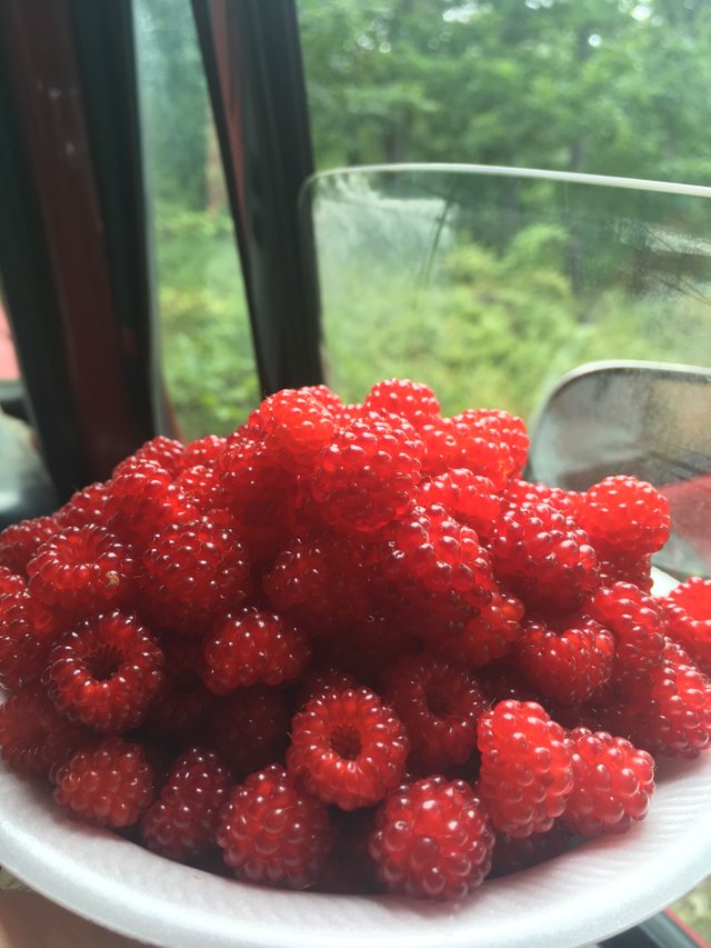 raspberries.jpg