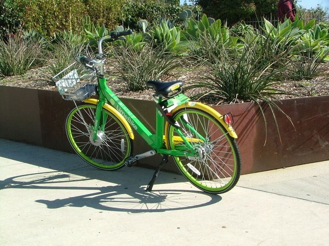 Lime Bike in the Wild.jpg