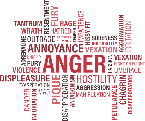 anger-1462088__480.png