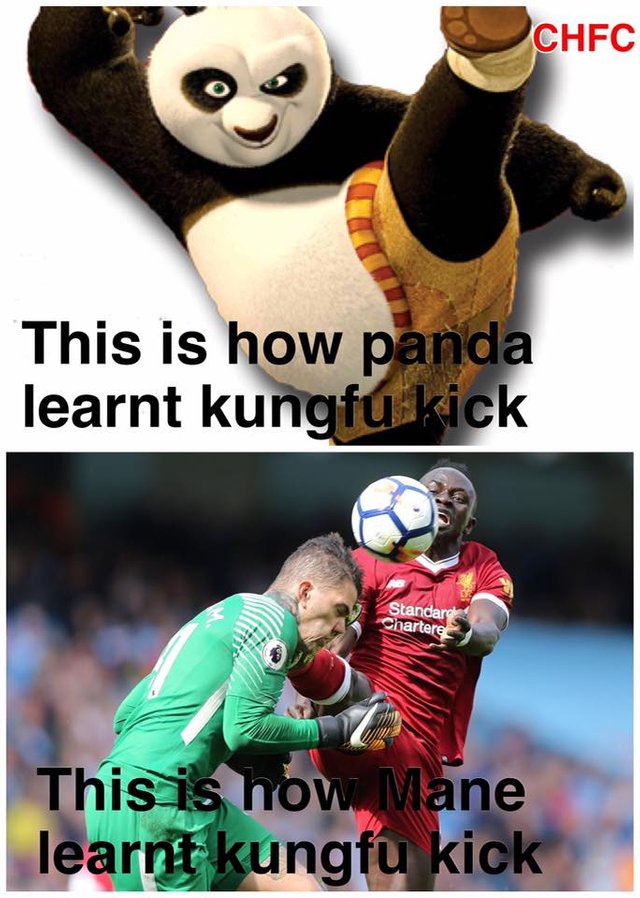 Kung FU PANDA.jpg