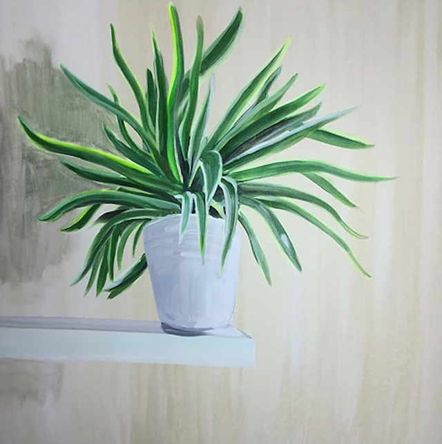 Krystyna Printup- Shelf Plant.png