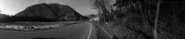 IMG_1195.jpg