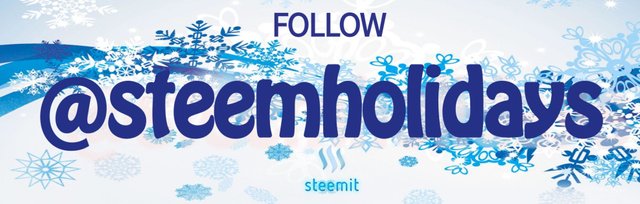 steemholidays banner 1.jpg