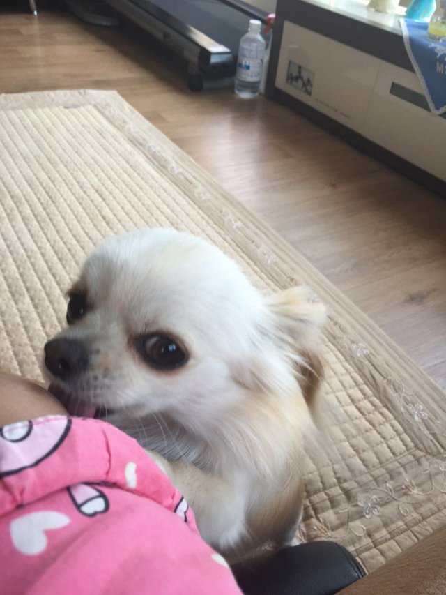 KakaoTalk_20170518_110149796.jpg