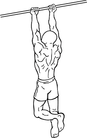 chin ups.png