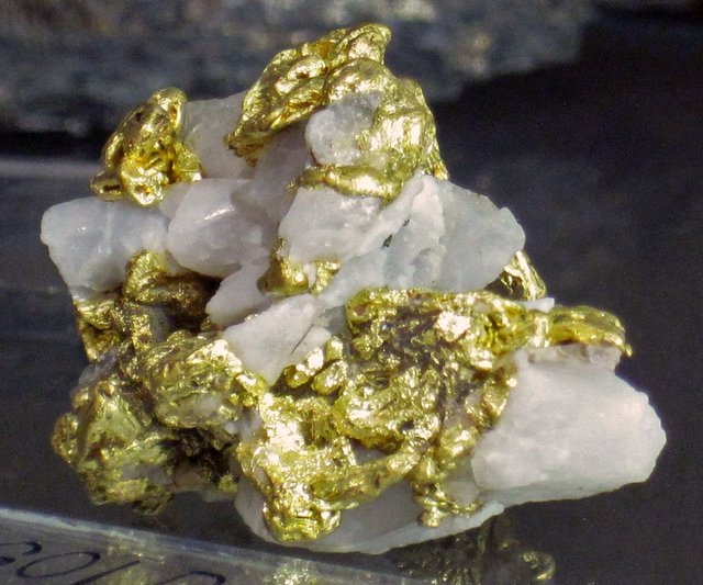 Gold_(Saw_Tooth_Mountains,_near_Salt_Lake_City,_Utah,_USA)_(17207409151).jpg