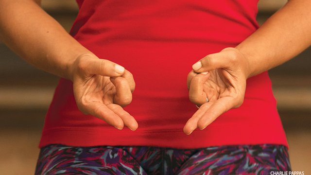 prana-mudra.jpg