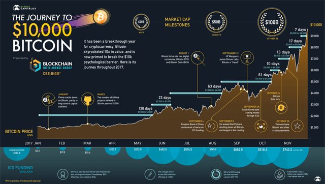10000-bitcoin-journey-visual-capitalist-crypto-currency.jpg