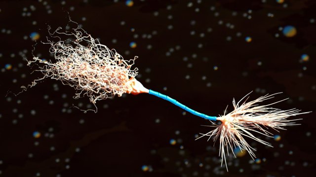 NeuronMyelin001.jpg7b5ffc1e-1c87-4352-8ab6-8794fbdce980Original.jpg