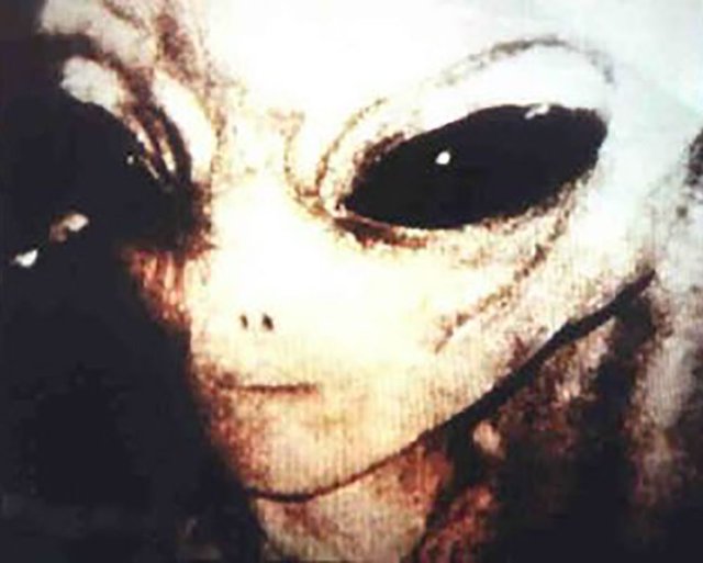 alien_picture_1.jpg