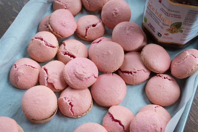 macarons 2.jpg