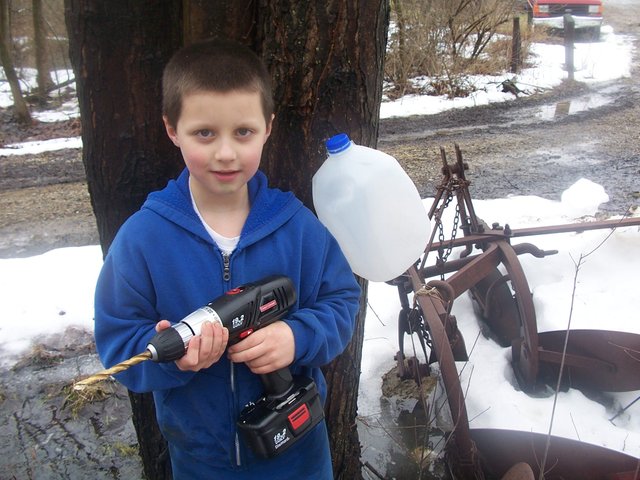 Tapping Maple Syrup 013.jpg