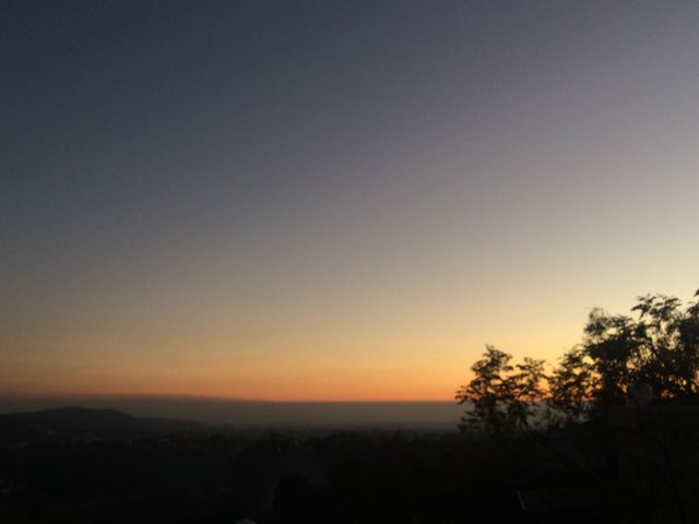 28141104-620B-4D87-8A85-C5A18F18C130.jpeg
