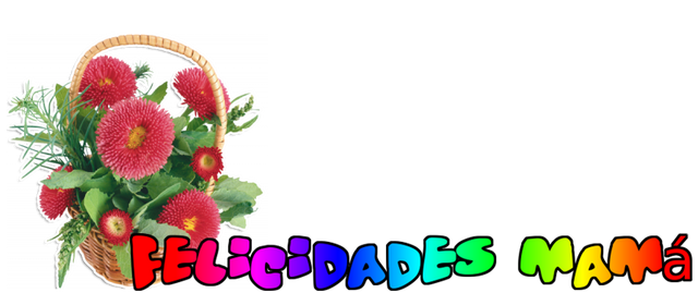 Felicidades Mamá (12).png