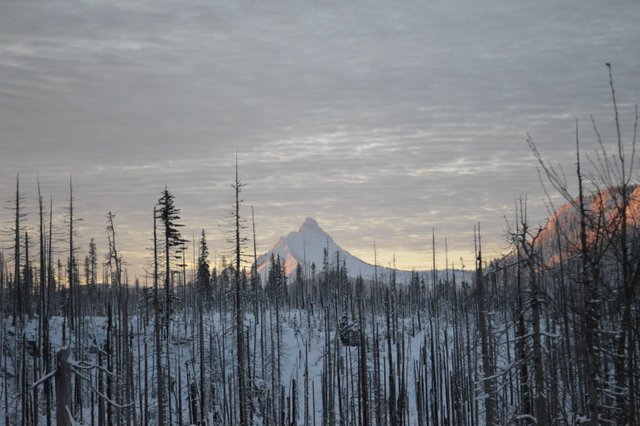 DSC_0117.JPG
