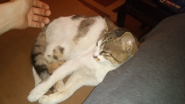 pussnme9.jpg