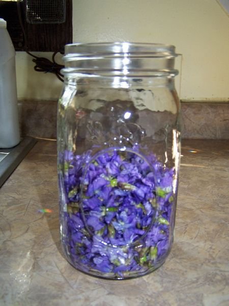 Violet Jelly - 2 cups crop April 2016.jpg