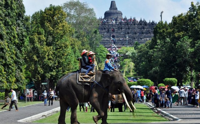 tahun-baru-2017-candi-borobudur-ancol-dan-pantai-parantritis-dipadati-wisatawan-RCfKKiYSyH.jpg