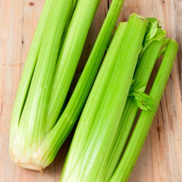 Celery.jpg