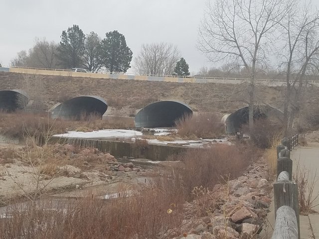 20180110_110028.jpg