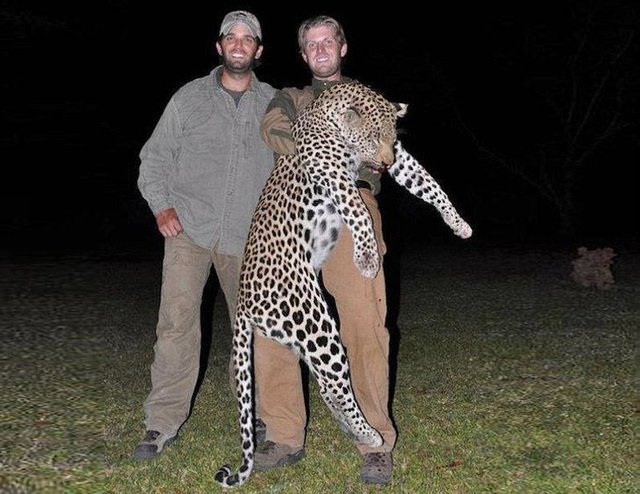 trump-sons-go-hunting.jpg