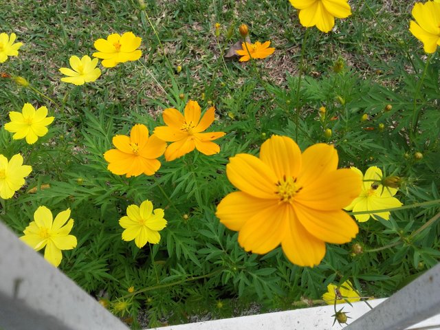 20170718_144726.jpg