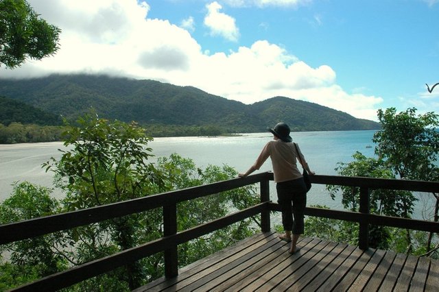 Cape Tribulation Lookout _ Rob Lapaer.jpg