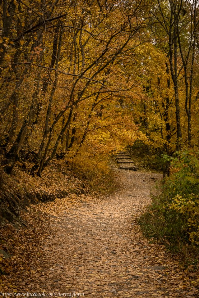 DSC_0104.jpg
