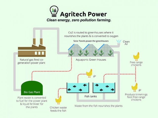 agritech-flowchart-700x525.jpg