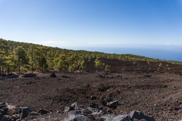 Tenerife day 9 Teide and Loro_561.jpg