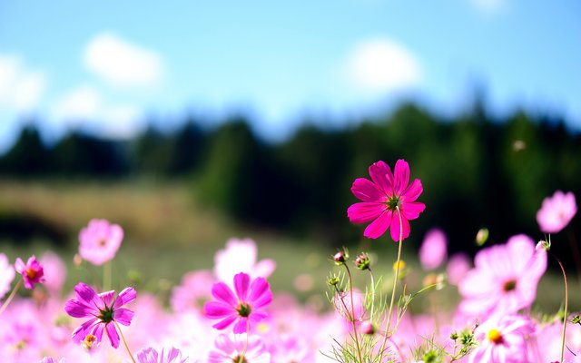 ff9f0849ac64bfc5478b81223a2ec14a.jpg