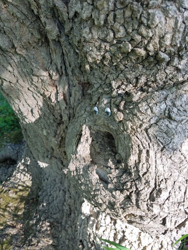20180514_072831_001.jpg
