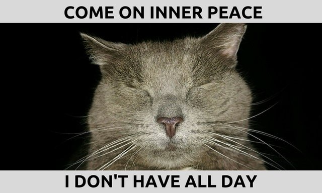 inner peace cat.jpg
