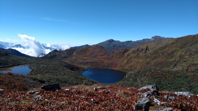 IMG_20171015_085646.jpg
