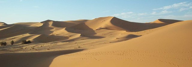 Desert-Timimoun-Algeria.jpg