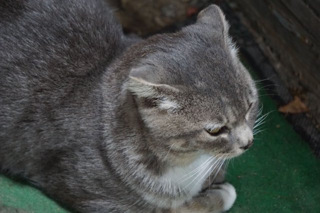 DSC08056.JPG