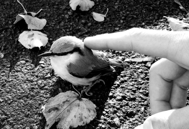 _20171219_102029.JPG