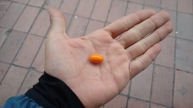 door-de-smartdrug-modafinil-kreeg-ik-een-hekel-aan-alles-behalve-mijn-werk-321-body-image-1444383601-size_1000.jpg