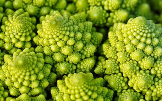 romanesco-ftr.jpg