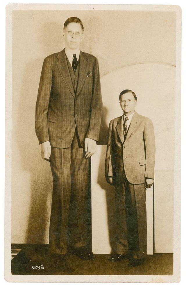 Robert_Wadlow_postcard.jpg