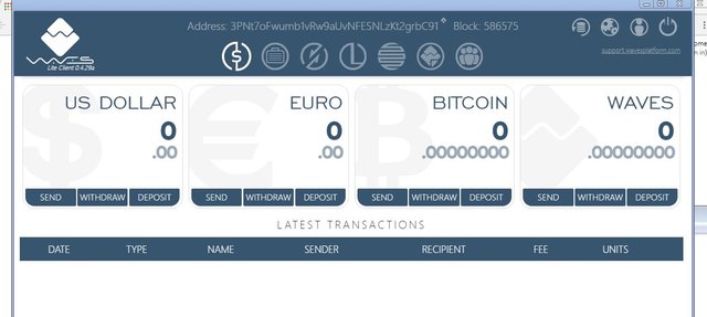 waves_wallet_created.JPG