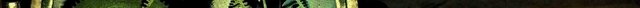 tick_by_undrtheskysoblue-d2ylcm2 3.jpg