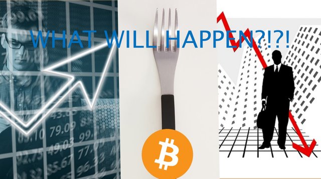 bitcoinfork.jpg