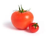 tomato.jpg